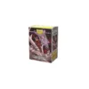 Art Matte 'Lane Thunderhoof' Dragon Shield 100 SZTUK