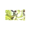 Mata Riftbound: League of Legends TCG Unleashed Master Yi
