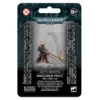 Warhammer 40.000: Ministorum Priest with Vindictor